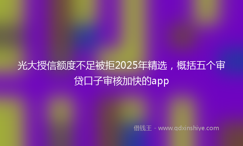 光大授信额度不足被拒2025年精选，概括五个审贷口子审核加快的app