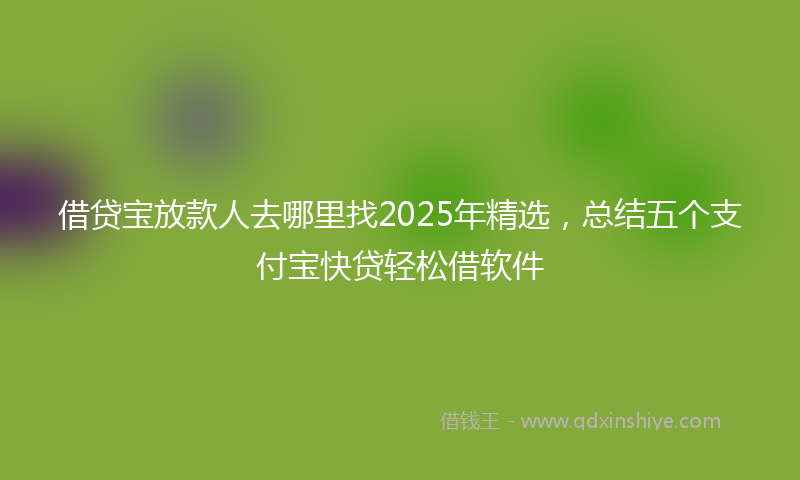 借贷宝放款人去哪里找2025年精选，总结五个支付宝快贷轻松借软件
