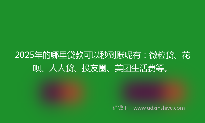 2025年的哪里贷款可以秒到账呢有：微粒贷、花呗、人人贷、投友圈、美团生活费等。