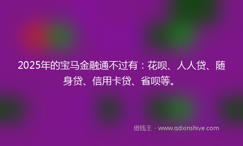 2025年的宝马金融通不过有：花呗、人人贷、随身贷、信用卡贷、省呗等。