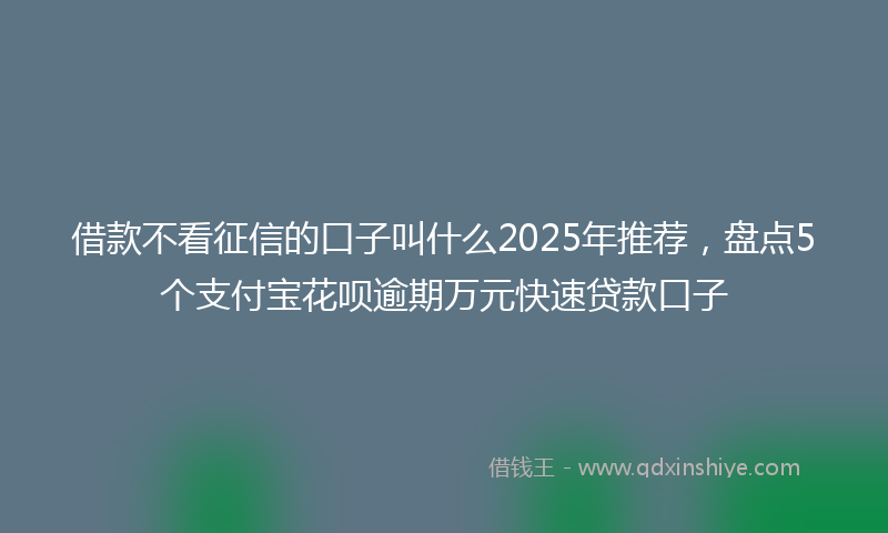 借款不看征信的口子叫什么2025年推荐，盘点5个支付宝花呗逾期万元快速贷款口子