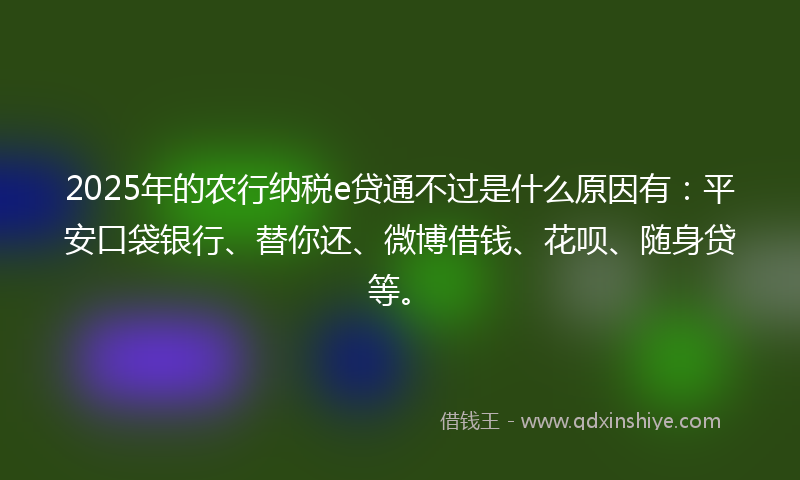 2025年的农行纳税e贷通不过是什么原因有：平安口袋银行、替你还、微博借钱、花呗、随身贷等。