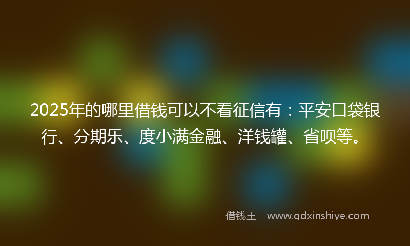 2025年的哪里借钱可以不看征信有：平安口袋银行、分期乐、度小满金融、洋钱罐、省呗等。