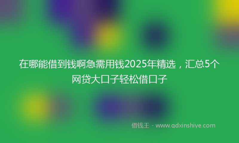 在哪能借到钱啊急需用钱2025年精选，汇总5个网贷大口子轻松借口子