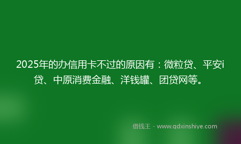 2025年的办信用卡不过的原因有：微粒贷、平安i贷、中原消费金融、洋钱罐、团贷网等。