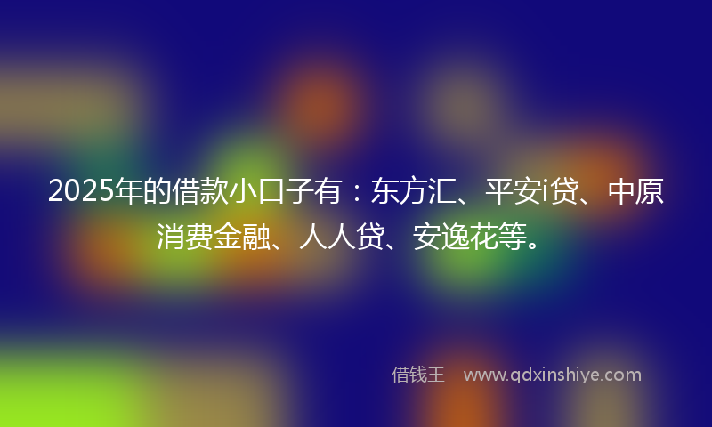 2025年的借款小口子有：东方汇、平安i贷、中原消费金融、人人贷、安逸花等。