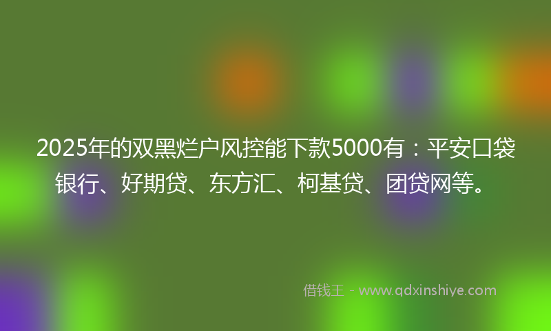 2025年的双黑烂户风控能下款5000有：平安口袋银行、好期贷、东方汇、柯基贷、团贷网等。