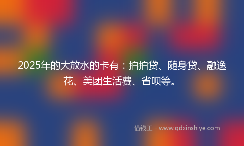 2025年的大放水的卡有：拍拍贷、随身贷、融逸花、美团生活费、省呗等。