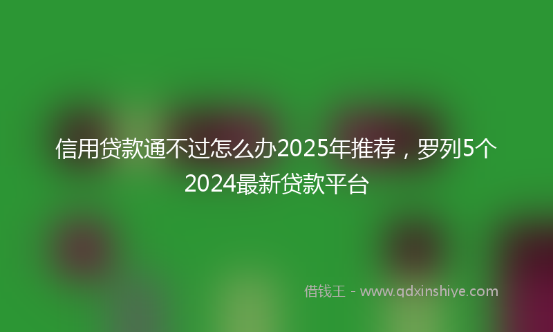 信用贷款通不过怎么办2025年推荐，罗列5个2024最新贷款平台