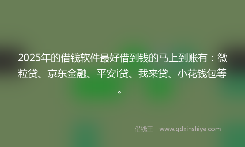 2025年的借钱软件最好借到钱的马上到账有：微粒贷、京东金融、平安i贷、我来贷、小花钱包等。