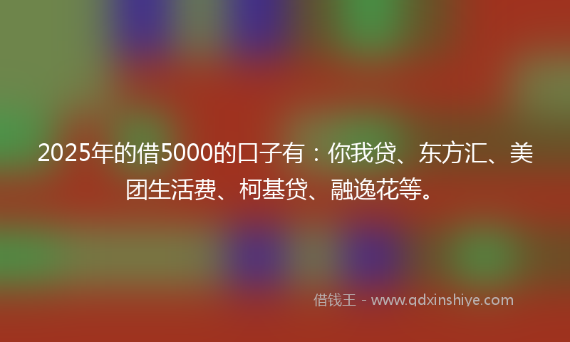 2025年的借5000的口子有：你我贷、东方汇、美团生活费、柯基贷、融逸花等。