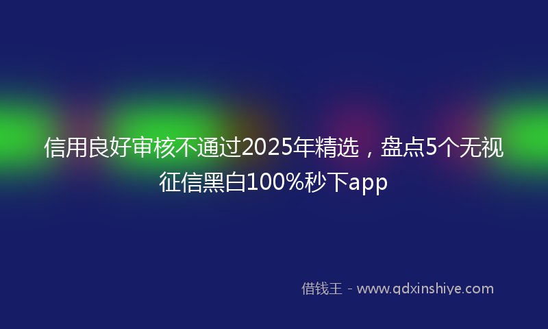 信用良好审核不通过2025年精选，盘点5个无视征信黑白100%秒下app