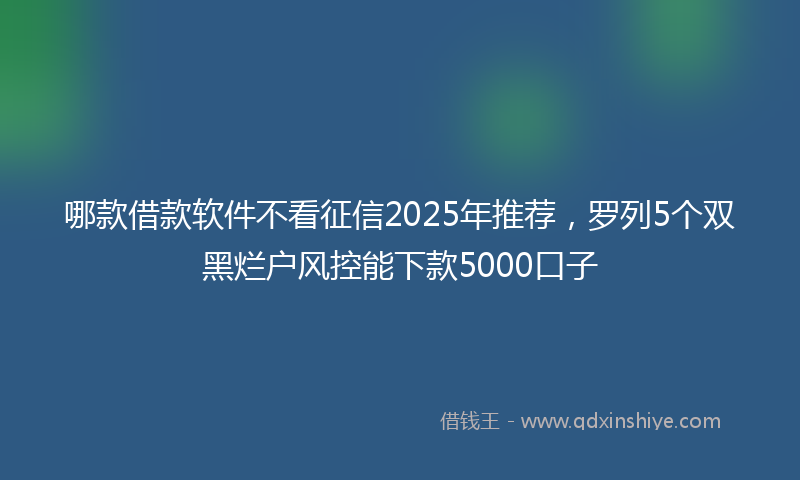 哪款借款软件不看征信2025年推荐，罗列5个双黑烂户风控能下款5000口子