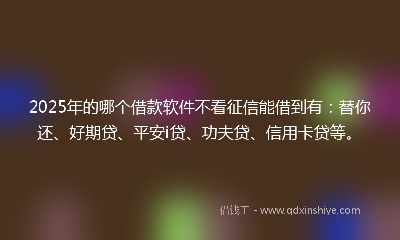 2025年的哪个借款软件不看征信能借到有：替你还、好期贷、平安i贷、功夫贷、信用卡贷等。
