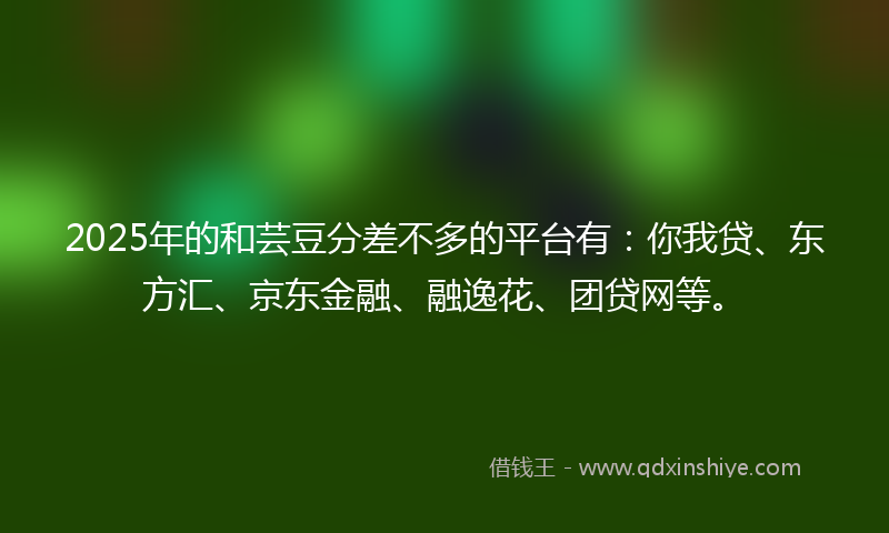 2025年的和芸豆分差不多的平台有：你我贷、东方汇、京东金融、融逸花、团贷网等。