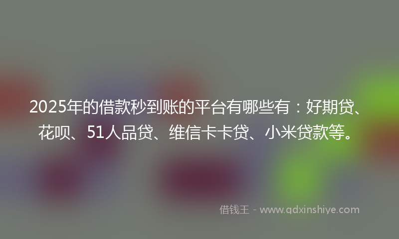 2025年的借款秒到账的平台有哪些有：好期贷、花呗、51人品贷、维信卡卡贷、小米贷款等。