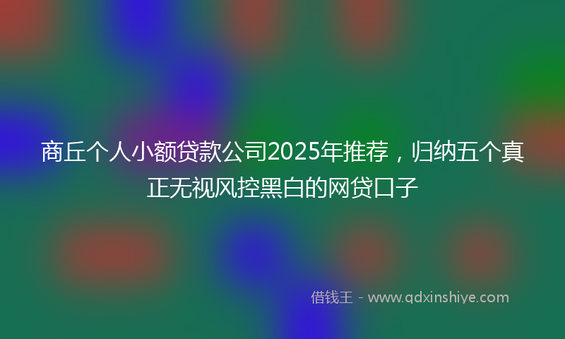 商丘个人小额贷款公司2025年推荐，归纳五个真正无视风控黑白的网贷口子