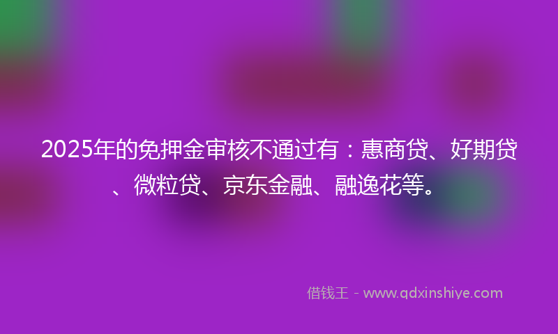 2025年的免押金审核不通过有：惠商贷、好期贷、微粒贷、京东金融、融逸花等。