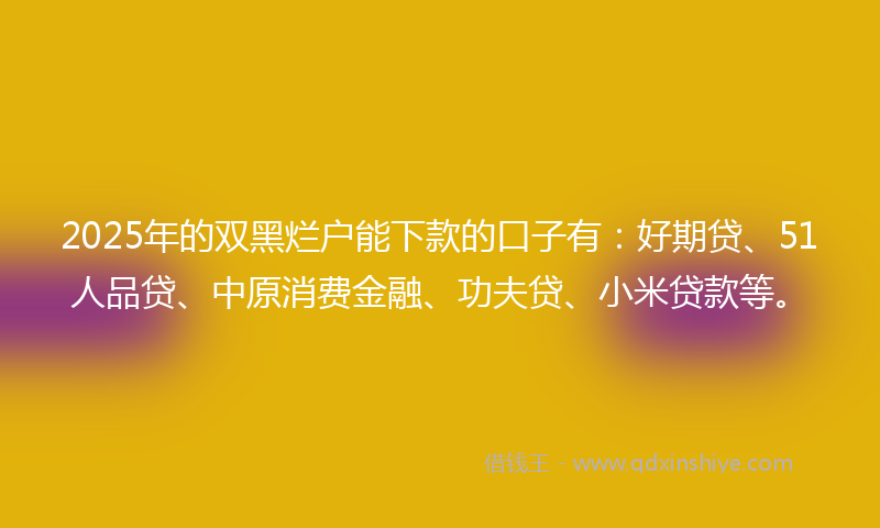 2025年的双黑烂户能下款的口子有：好期贷、51人品贷、中原消费金融、功夫贷、小米贷款等。