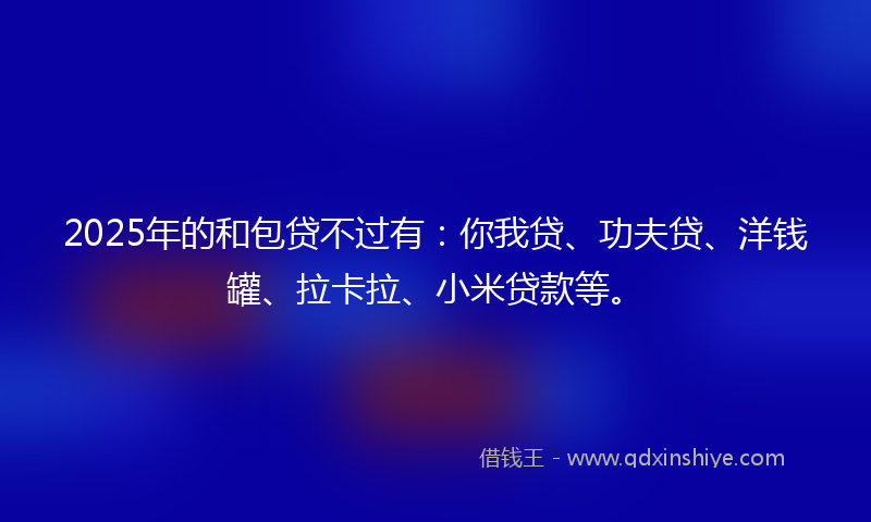 2025年的和包贷不过有：你我贷、功夫贷、洋钱罐、拉卡拉、小米贷款等。