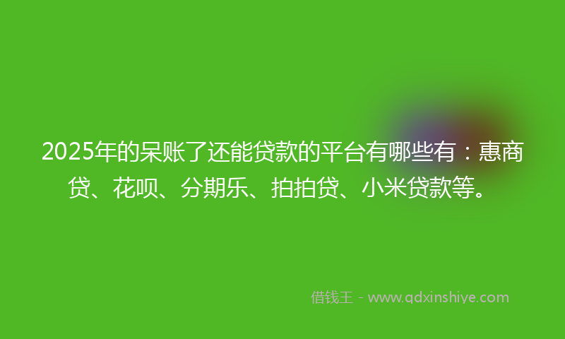 2025年的呆账了还能贷款的平台有哪些有：惠商贷、花呗、分期乐、拍拍贷、小米贷款等。