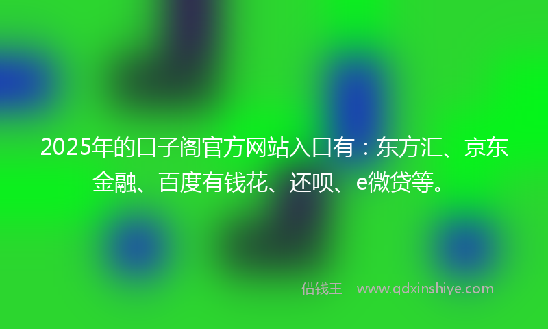2025年的口子阁官方网站入口有：东方汇、京东金融、百度有钱花、还呗、e微贷等。
