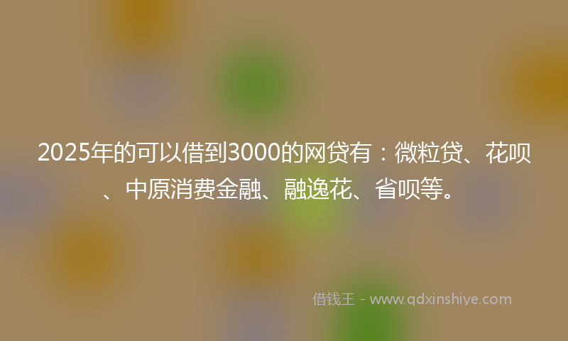 2025年的可以借到3000的网贷有：微粒贷、花呗、中原消费金融、融逸花、省呗等。