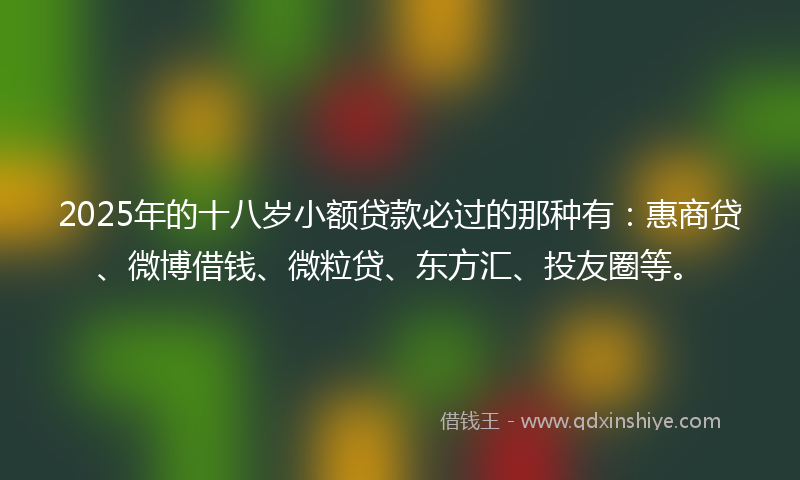 2025年的十八岁小额贷款必过的那种有：惠商贷、微博借钱、微粒贷、东方汇、投友圈等。