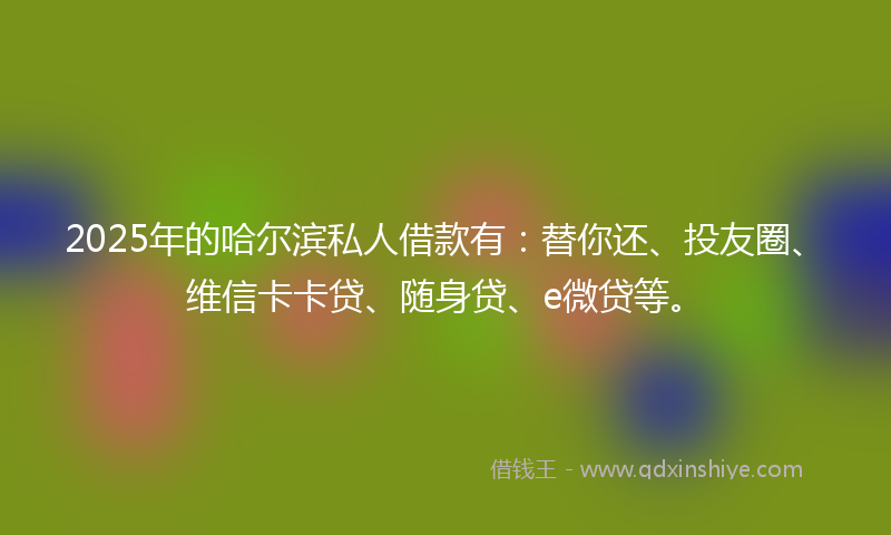 2025年的哈尔滨私人借款有：替你还、投友圈、维信卡卡贷、随身贷、e微贷等。