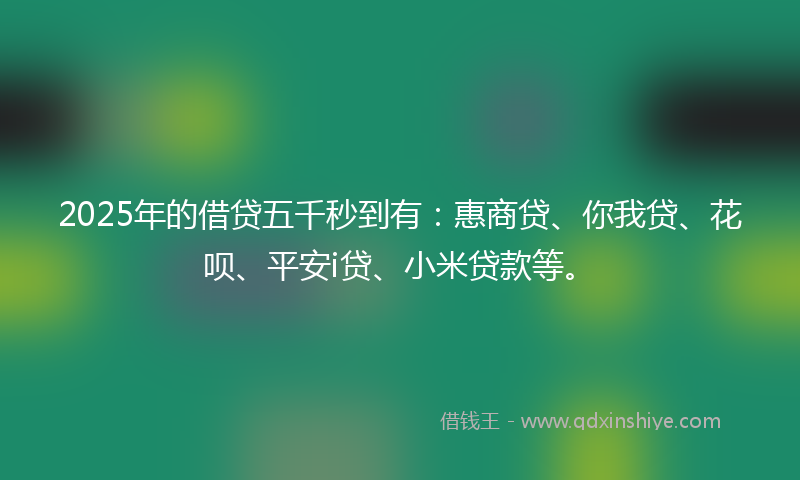 2025年的借贷五千秒到有：惠商贷、你我贷、花呗、平安i贷、小米贷款等。