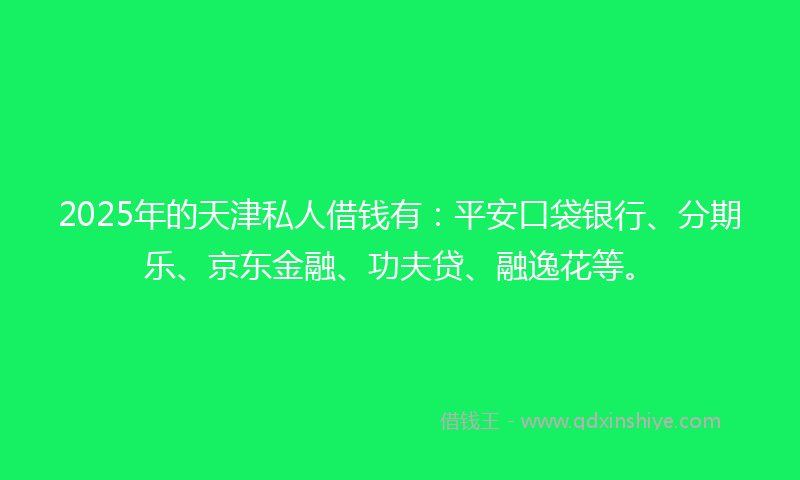 2025年的天津私人借钱有：平安口袋银行、分期乐、京东金融、功夫贷、融逸花等。