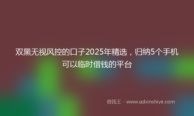 双黑无视风控的口子2025年精选，归纳5个手机可以临时借钱的平台