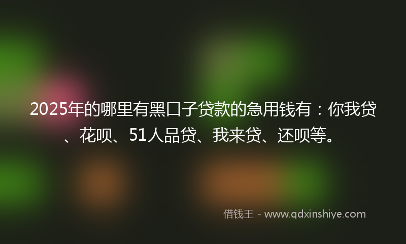 2025年的哪里有黑口子贷款的急用钱有：你我贷、花呗、51人品贷、我来贷、还呗等。