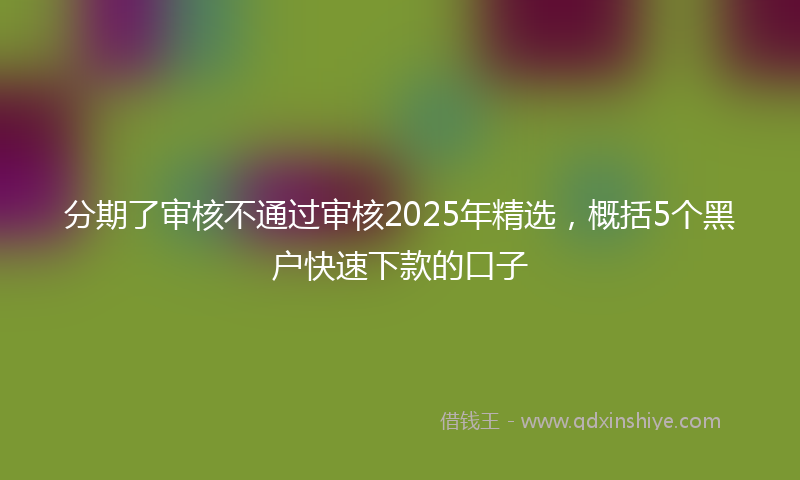 分期了审核不通过审核2025年精选，概括5个黑户快速下款的口子