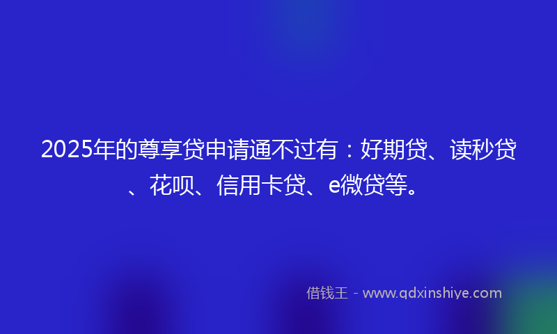 2025年的尊享贷申请通不过有：好期贷、读秒贷、花呗、信用卡贷、e微贷等。