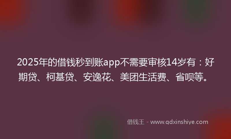 2025年的借钱秒到账app不需要审核14岁有：好期贷、柯基贷、安逸花、美团生活费、省呗等。