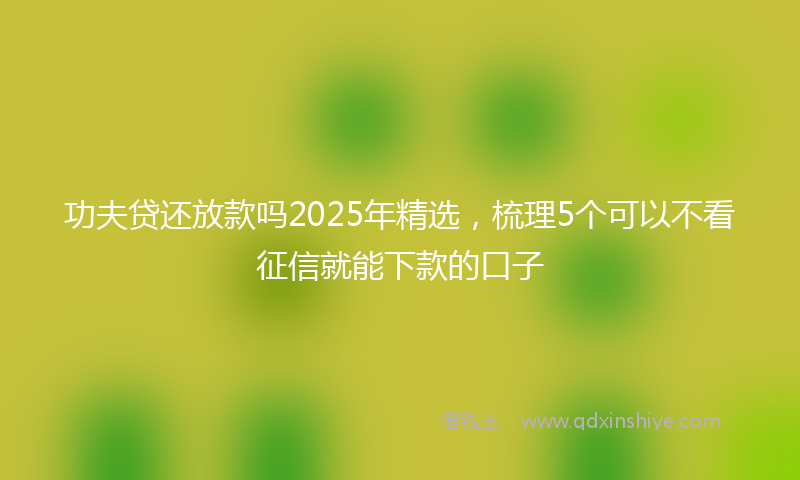 功夫贷还放款吗2025年精选，梳理5个可以不看征信就能下款的口子