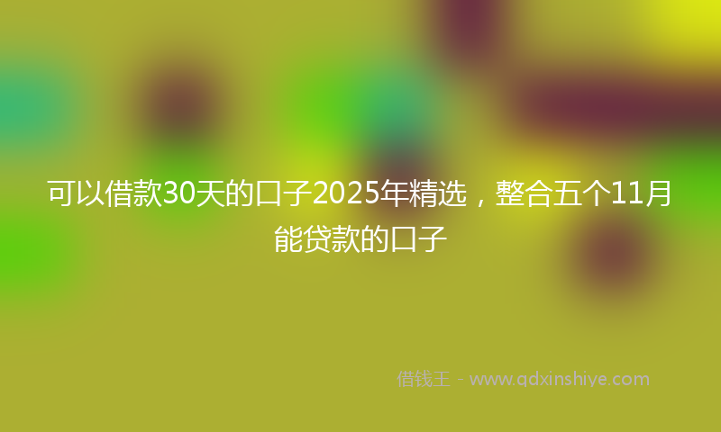 可以借款30天的口子2025年精选，整合五个11月能贷款的口子