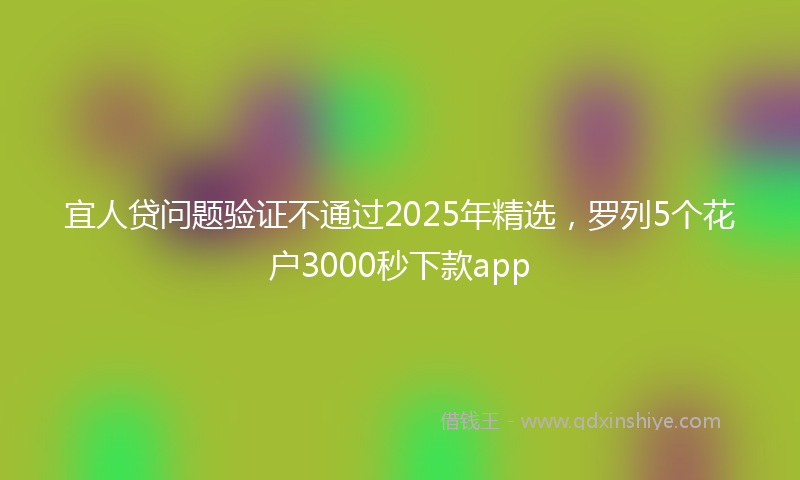 宜人贷问题验证不通过2025年精选，罗列5个花户3000秒下款app