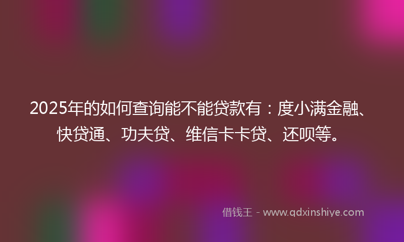 2025年的如何查询能不能贷款有：度小满金融、快贷通、功夫贷、维信卡卡贷、还呗等。