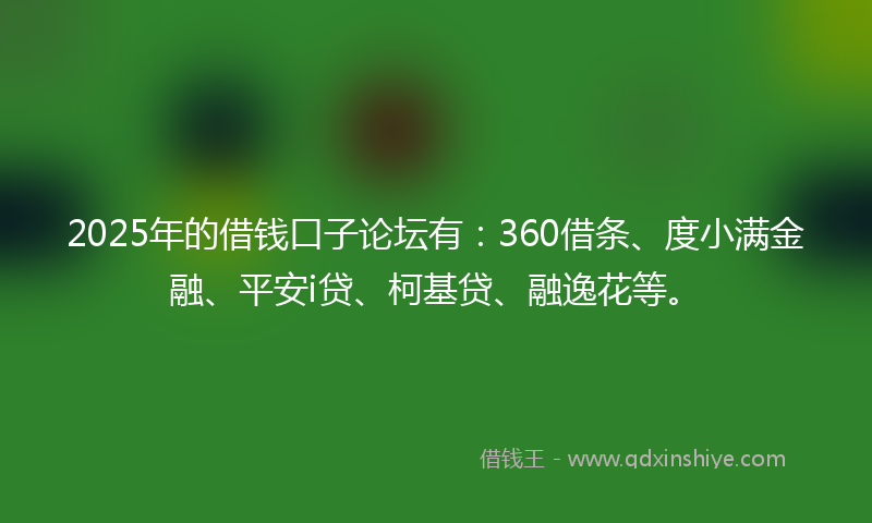 2025年的借钱口子论坛有：360借条、度小满金融、平安i贷、柯基贷、融逸花等。