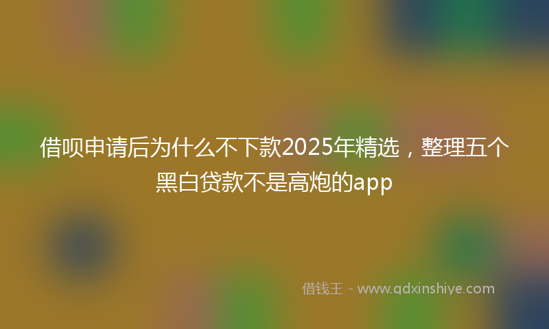 借呗申请后为什么不下款2025年精选，整理五个黑白贷款不是高炮的app