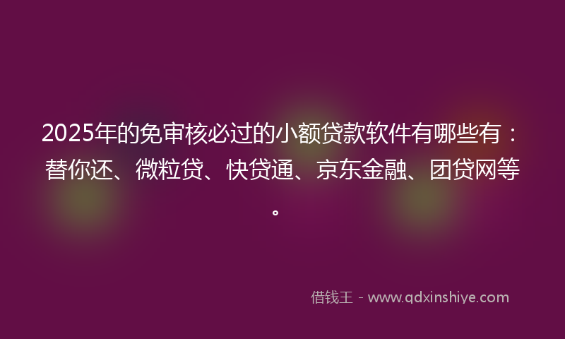 2025年的免审核必过的小额贷款软件有哪些有：替你还、微粒贷、快贷通、京东金融、团贷网等。