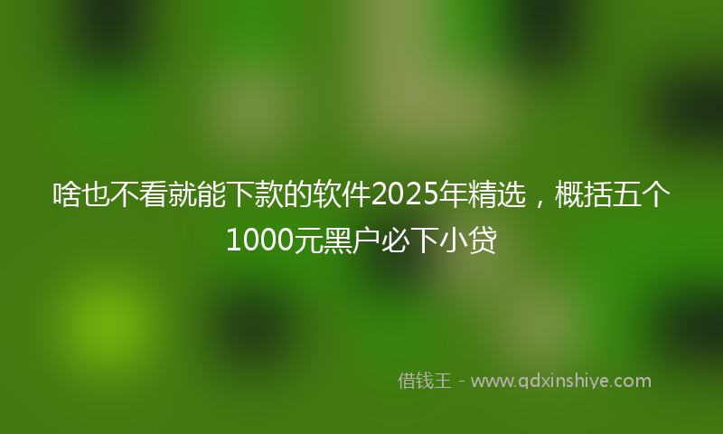 啥也不看就能下款的软件2025年精选，概括五个1000元黑户必下小贷