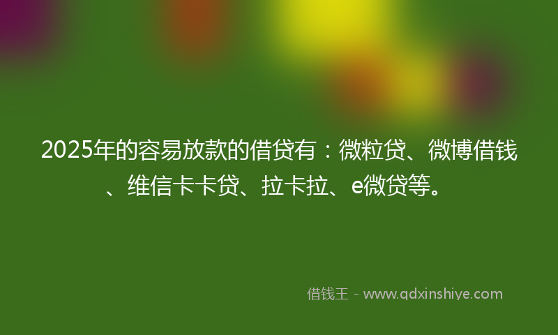 2025年的容易放款的借贷有：微粒贷、微博借钱、维信卡卡贷、拉卡拉、e微贷等。