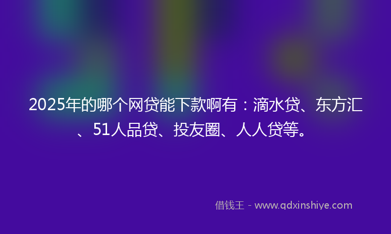 2025年的哪个网贷能下款啊有：滴水贷、东方汇、51人品贷、投友圈、人人贷等。