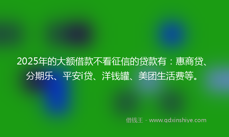 2025年的大额借款不看征信的贷款有：惠商贷、分期乐、平安i贷、洋钱罐、美团生活费等。