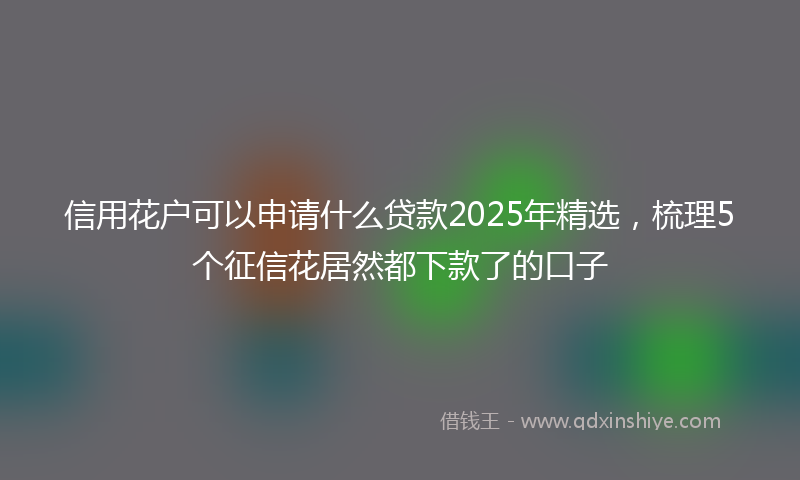 信用花户可以申请什么贷款2025年精选，梳理5个征信花居然都下款了的口子
