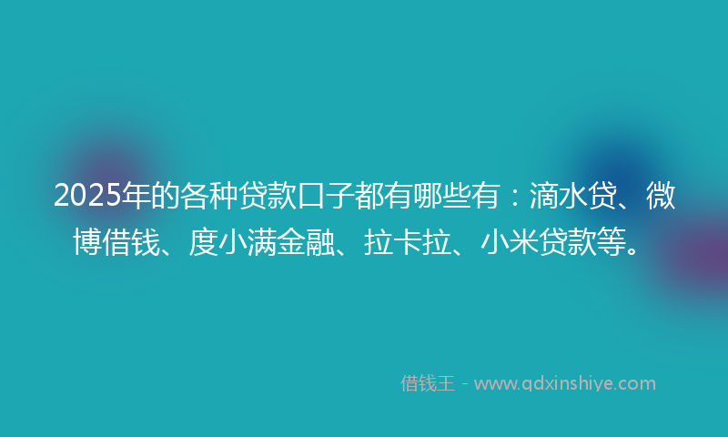 2025年的各种贷款口子都有哪些有：滴水贷、微博借钱、度小满金融、拉卡拉、小米贷款等。