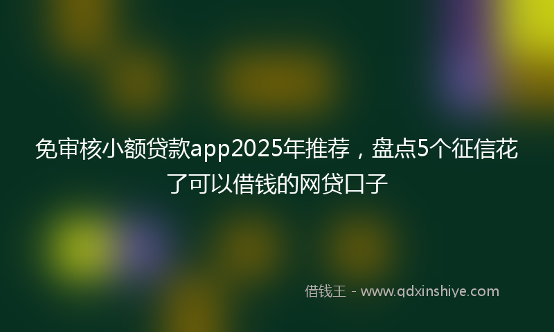 免审核小额贷款app2025年推荐，盘点5个征信花了可以借钱的网贷口子